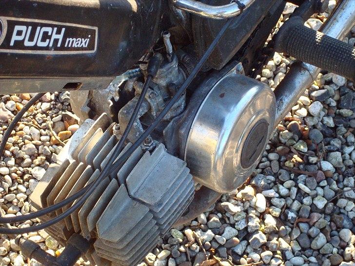 Puch Maxi K (Projekt) billede 11