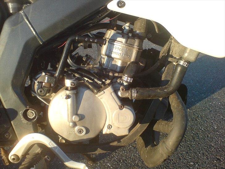 Derbi senda. solgt billede 5