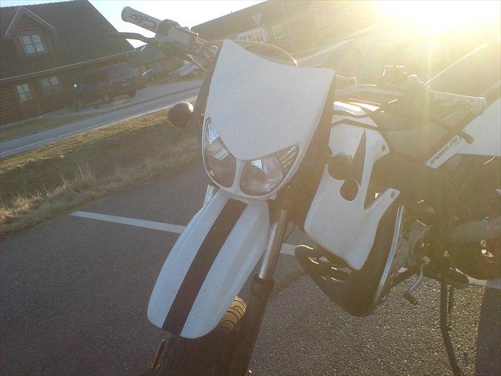 Derbi senda. solgt billede 9