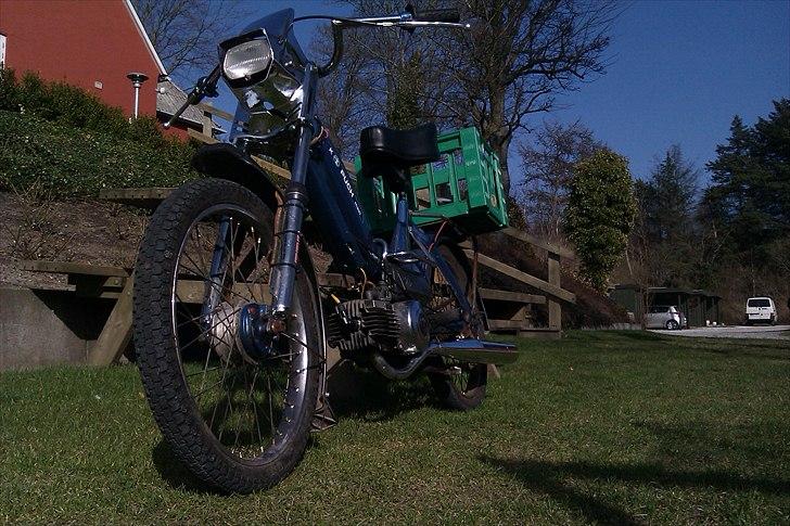 Puch Maxi K [Maren] - Puchen - I al dens herlighed :) billede 1