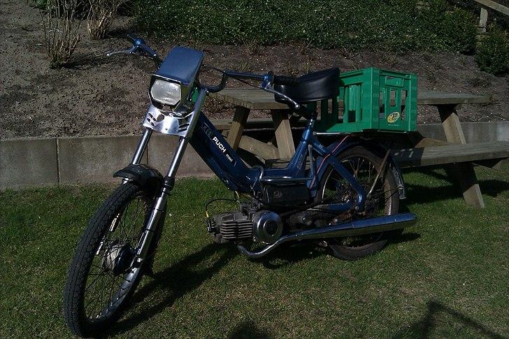 Puch Maxi K [Maren] - Puchen - Profil.. billede 2