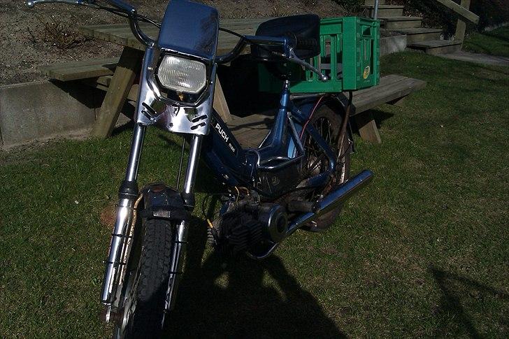 Puch Maxi K [Maren] - Puchen - Forfra... sådan da.. billede 3