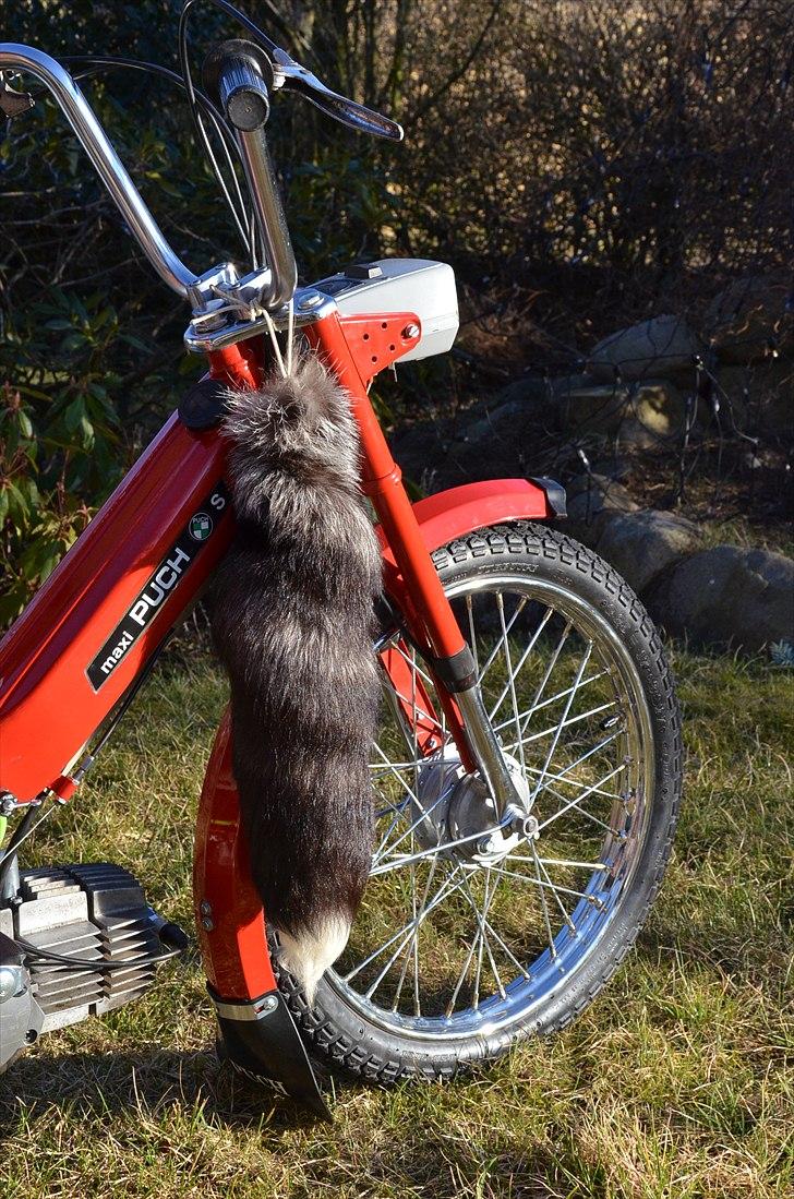 Puch MAXI E50 P VETERAN  billede 4