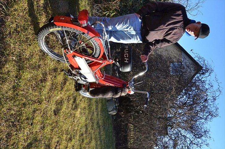 Puch MAXI E50 P VETERAN  billede 12