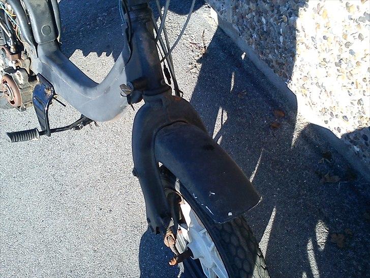 Suzuki FZ50 billede 5