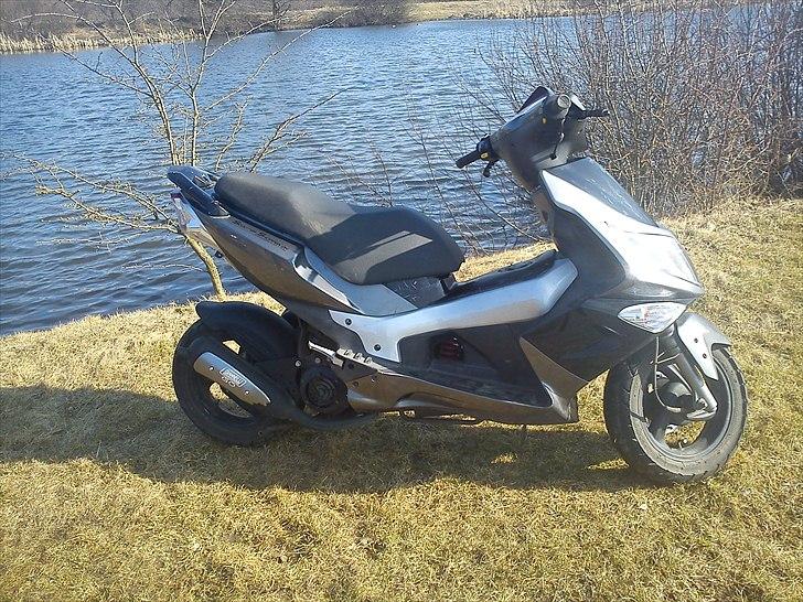 PGO G-Max - Nice. billede 12