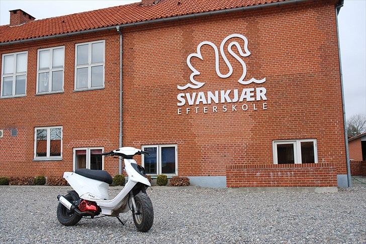 PGO Hot 50 billede 8