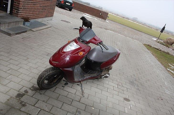 Aprilia sonic solgt billede 1