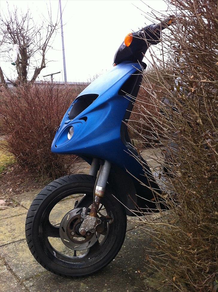 Piaggio Nrg mc3 lc // - Piaggo nrg mc3 lc billede 7