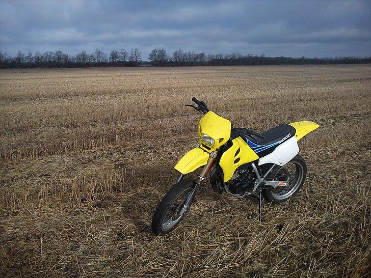 Suzuki SMX - Solgt billede 2
