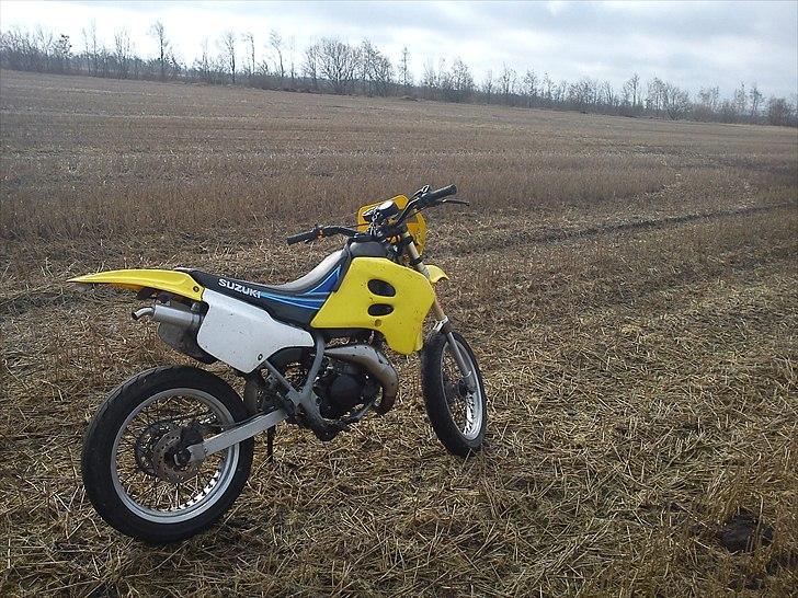 Suzuki SMX - Solgt billede 4
