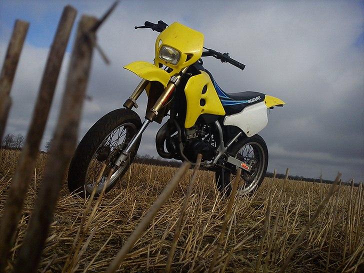 Suzuki SMX - Solgt billede 6