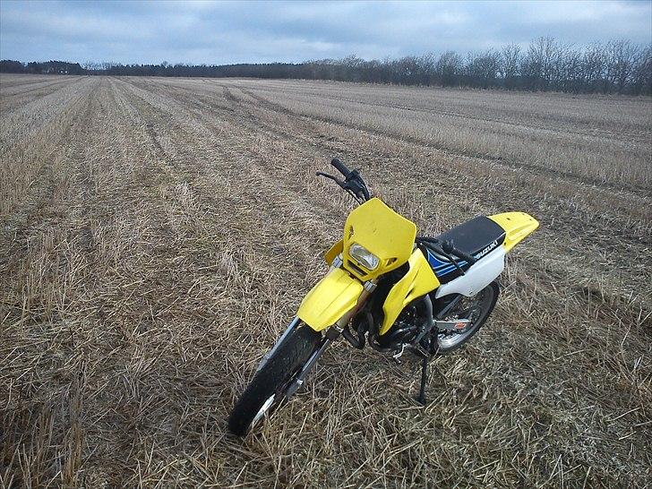 Suzuki SMX - Solgt billede 9