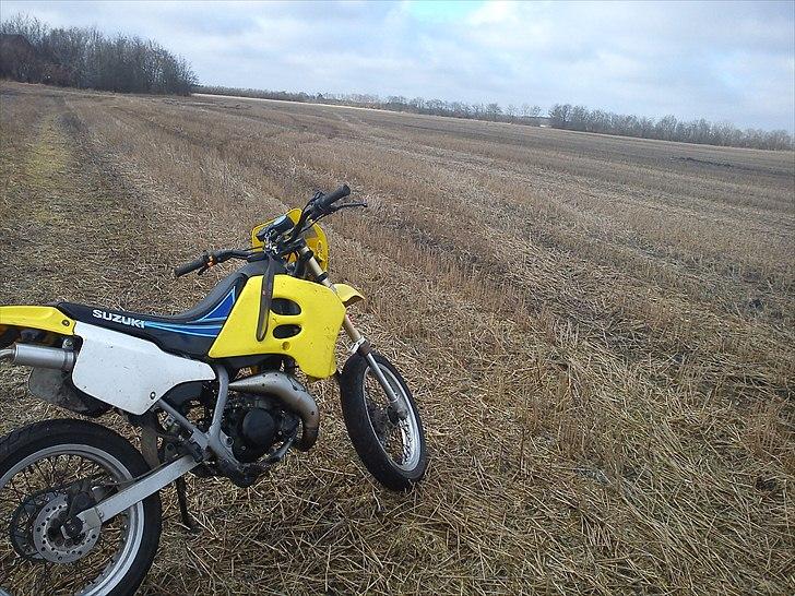 Suzuki SMX - Solgt billede 11