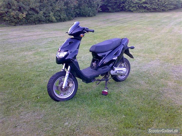 CPI Popcorn (møgsvinet) billede 1