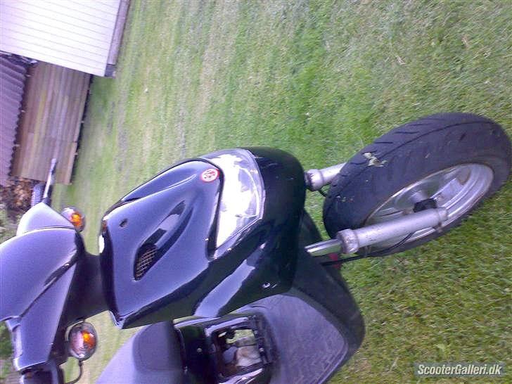 CPI Popcorn (møgsvinet) billede 2