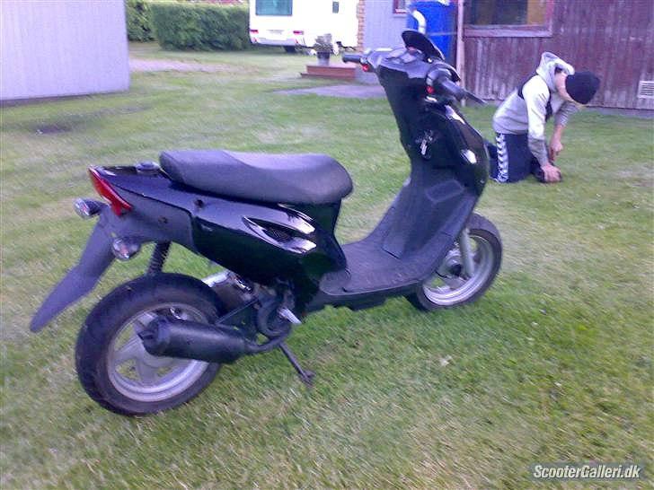 CPI Popcorn (møgsvinet) billede 3