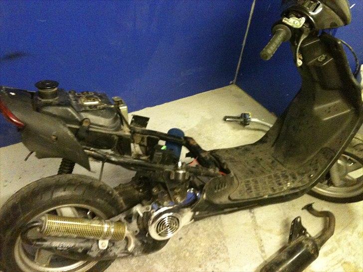 CPI Popcorn (møgsvinet) billede 4