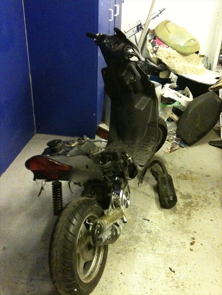 CPI Popcorn (møgsvinet) billede 5