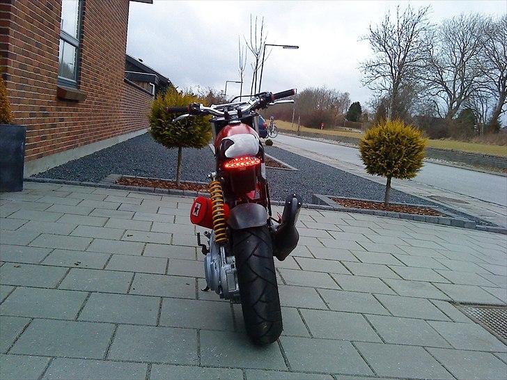 Suzuki Street Magic  billede 18