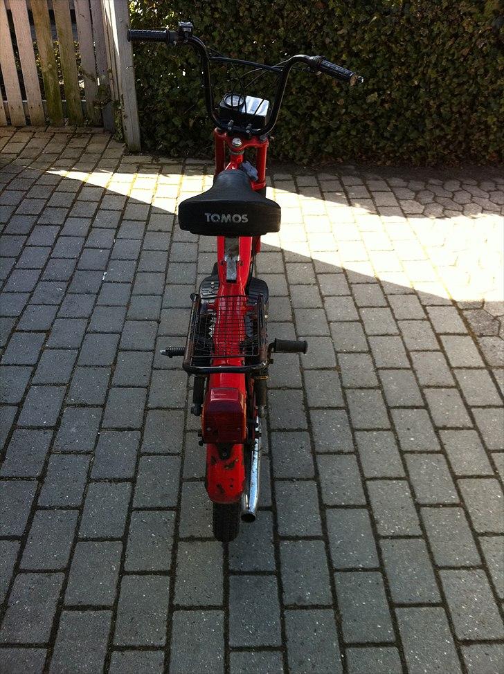 Tomos Quadro SOLGT  billede 2