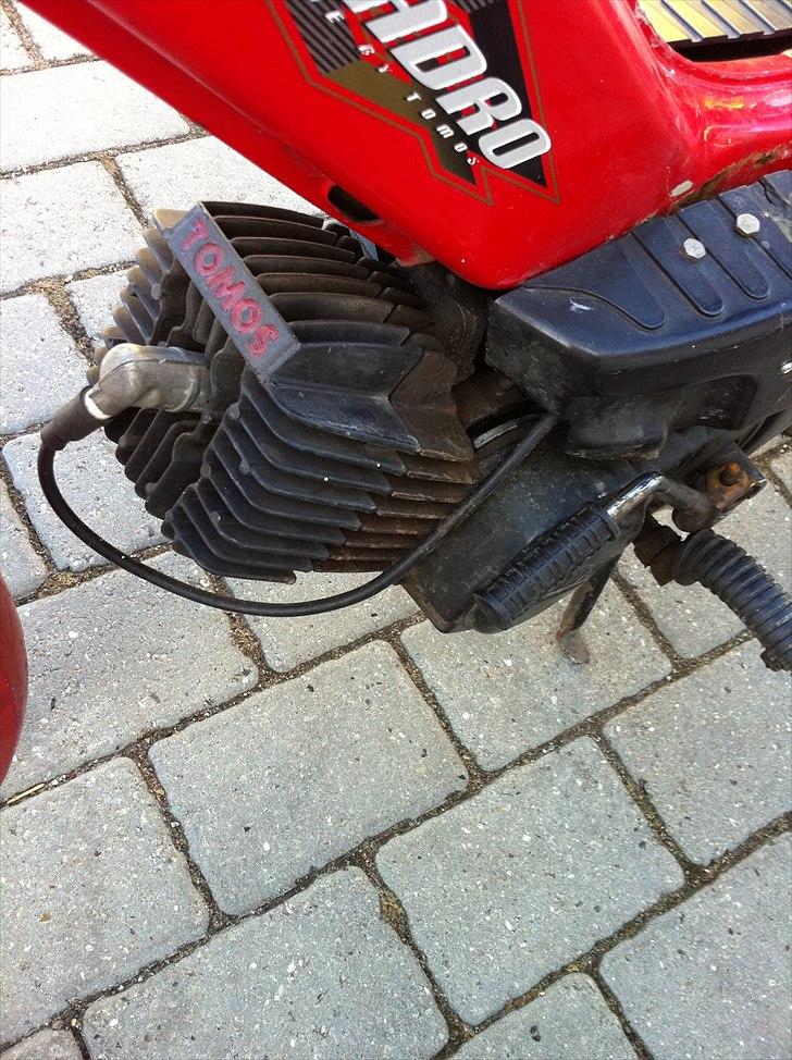 Tomos Quadro SOLGT  billede 8