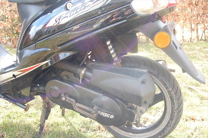 Giantco Sprint billede 11