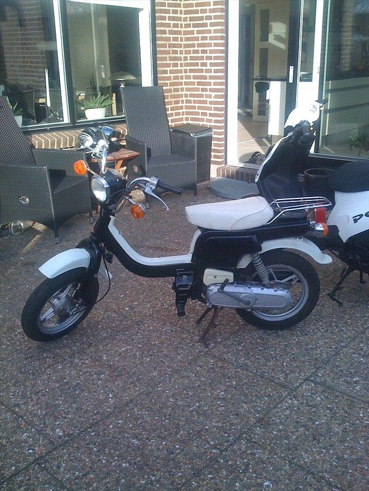 Suzuki FZ50 billede 2