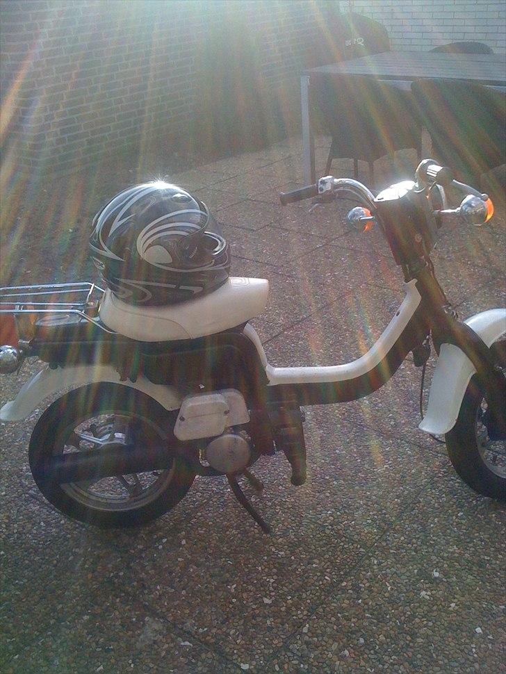 Suzuki FZ50 billede 5