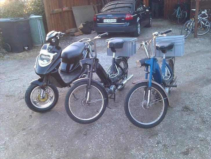 Puch Maxi K billede 10