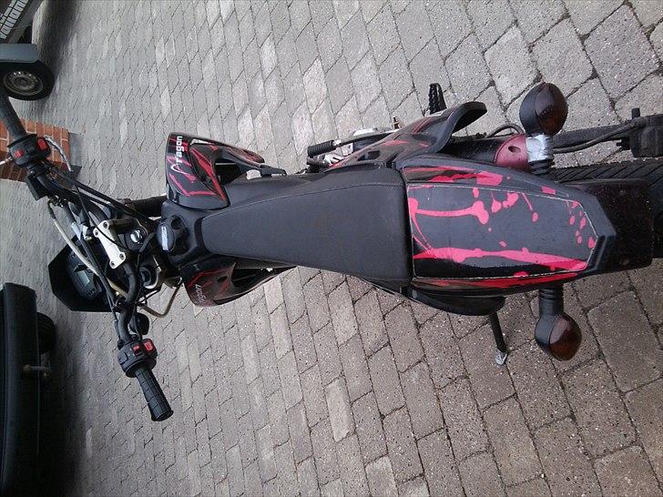 Apollo Orion   Selges billede 2