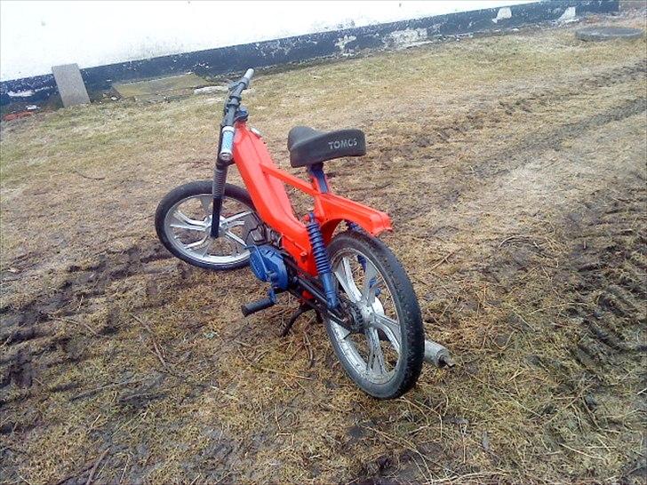 Tomos Tomos Quadro  billede 5