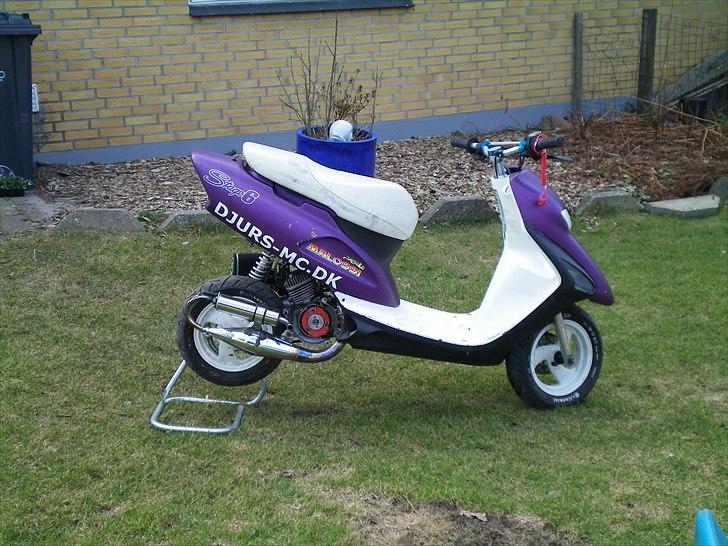 Honda sfx byttet billede 4