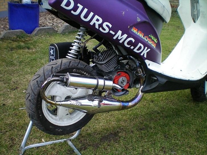 Honda sfx byttet billede 5