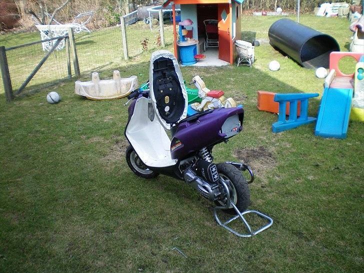 Honda sfx byttet billede 9