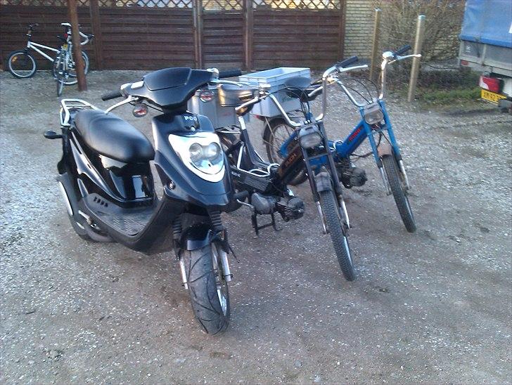 PGO Hot 50 ~SOLGT~ billede 16