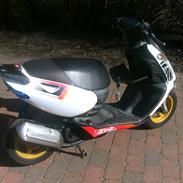 Aprilia sonic