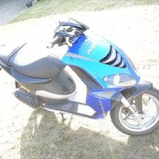 Piaggio NRG Power DT  FEDE DORIT