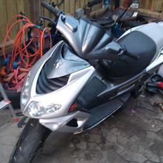 Peugeot SpeedFight 2 Projekt