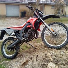 Gilera rcr