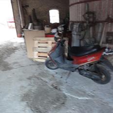 Kreidler Easy rider [Bytte]