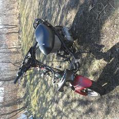 Kreidler Easy Rider tilsalg