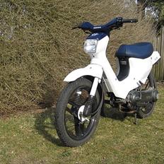 Honda Wallaroo |Solgt|