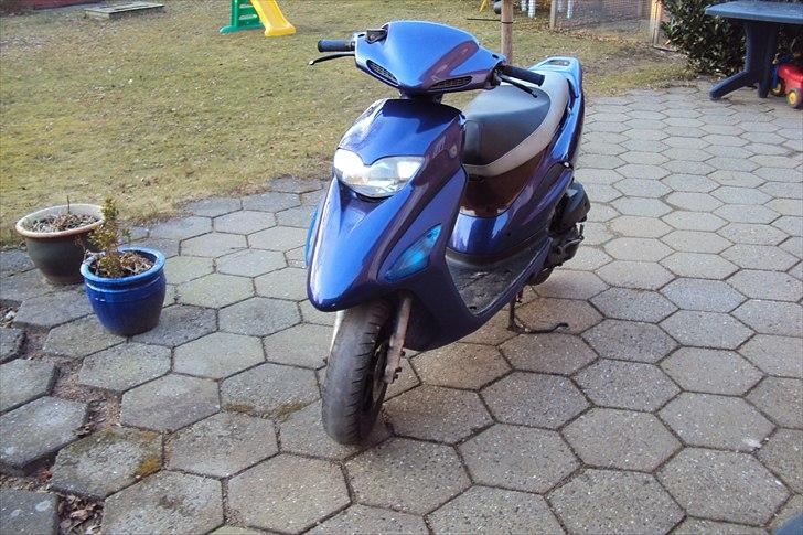 Honda Sfx *Baby* SOLGT:-( billede 3