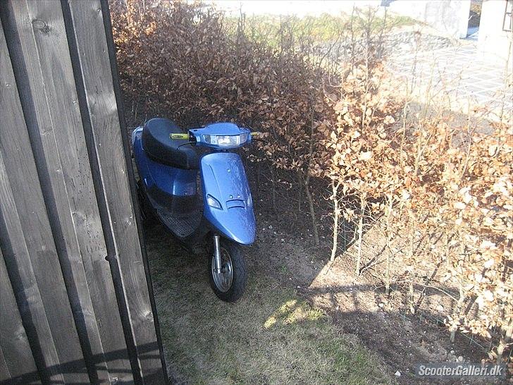 PGO comet solgt billede 5