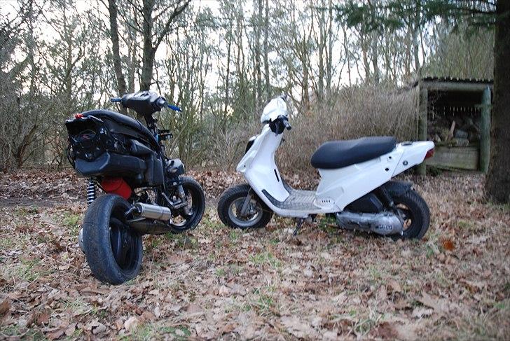 Piaggio Nrg mc3 billede 10