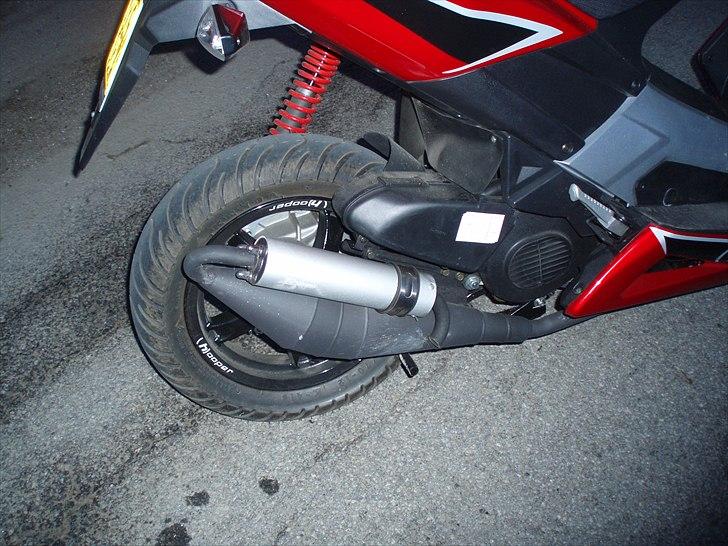 Hooper Leo billede 2