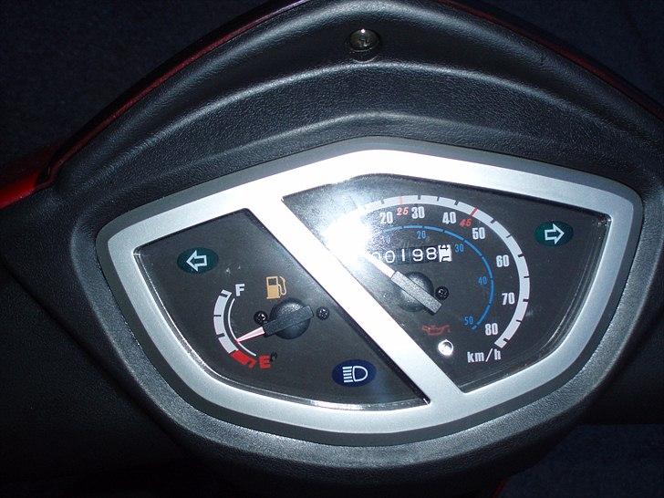 Hooper Leo billede 4