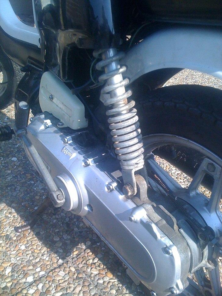 Suzuki FZ50 billede 6