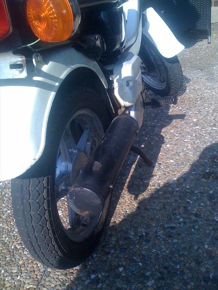 Suzuki FZ50 billede 7